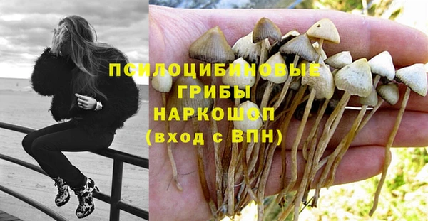 ALPHA PVP Корсаков